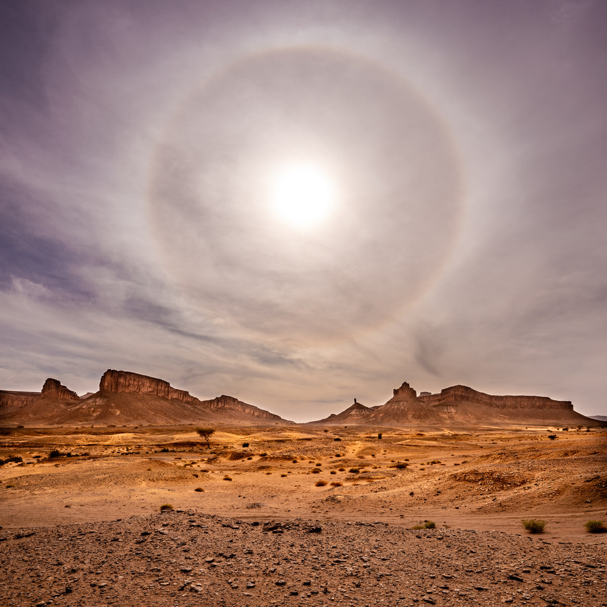 Desert Halo von AresDKY – vollständiges Motiv aus der Steinway-Ausstellung