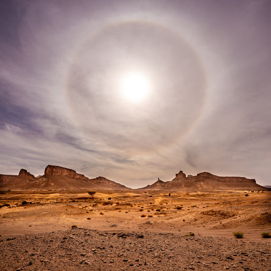 Desert Halo von AresDKY – vollständiges Motiv aus der Steinway-Ausstellung