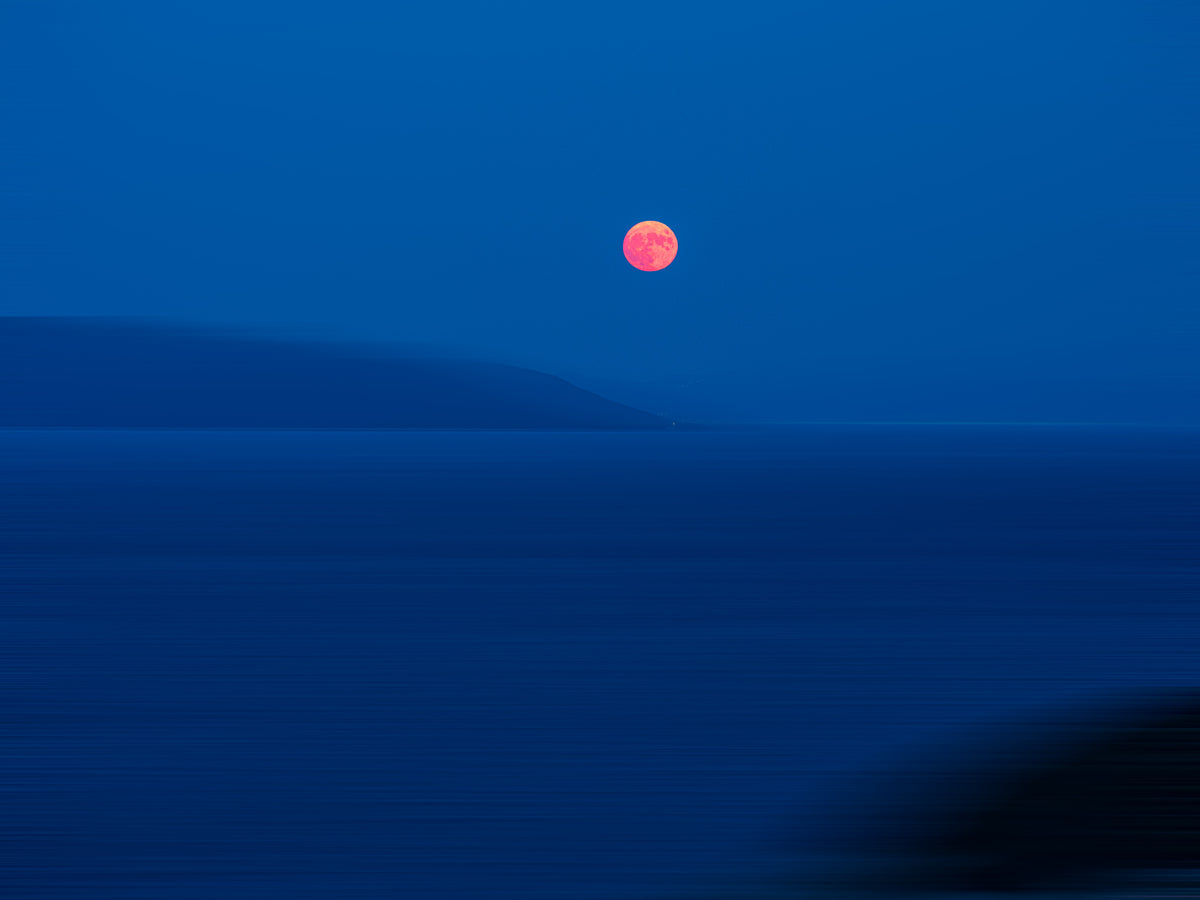 Lament of the Rose Moon von AresDKY – vollständiges Motiv aus der Steinway-Ausstellung
