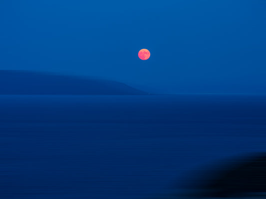 Lament of the Rose Moon von AresDKY – vollständiges Motiv aus der Steinway-Ausstellung